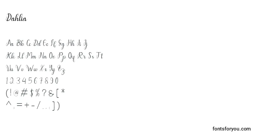 Dahlia (124422)フォント–アルファベット、数字、特殊文字