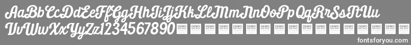 Daily Grind   Demo-Schriftart – Weiße Schriften auf grauem Hintergrund