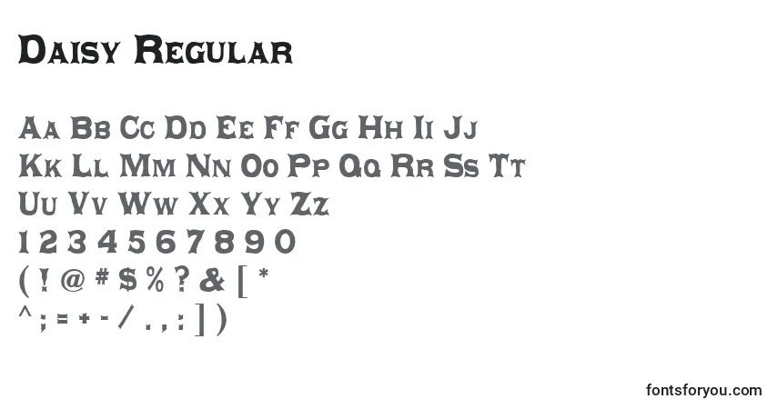 Шрифт Daisy Regular – алфавит, цифры, специальные символы