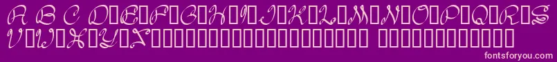 Daisy Font – Pink Fonts on Purple Background
