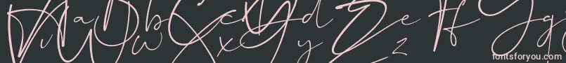 Dalmatins Font – Pink Fonts on Black Background