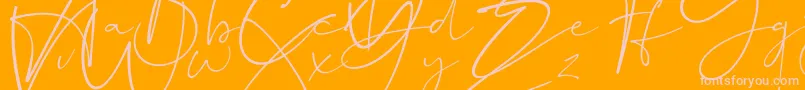 fuente Dalmatins – Fuentes Rosadas Sobre Fondo Naranja
