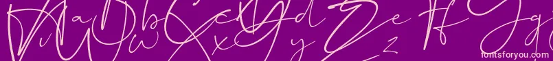 More about Dalmatins Font Dalmatins Font – Pink Fonts on Purple Background