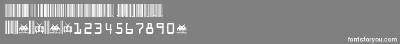 Code.Xero.Fontvir.Us Font – White Fonts on Gray Background