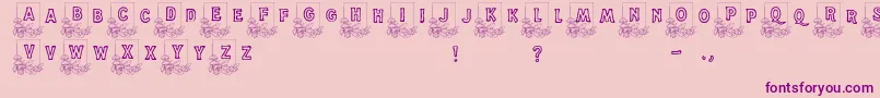 Dandelion-Schriftart – Violette Schriften auf rosa Hintergrund