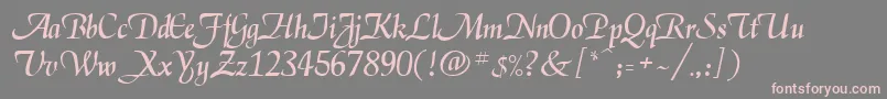 Daniela Font – Pink Fonts on Gray Background