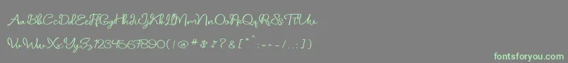Подробнее о шрифте daniella script Шрифт daniella script – зелёные шрифты на сером фоне