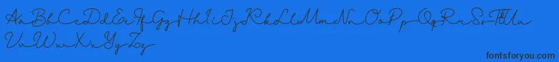 Danila   Demo-Schriftart – Schwarze Schriften auf blauem Hintergrund