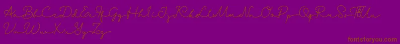Danila   Demo Font – Brown Fonts on Purple Background