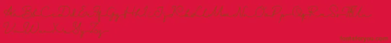 Danila   Demo Font – Brown Fonts on Red Background