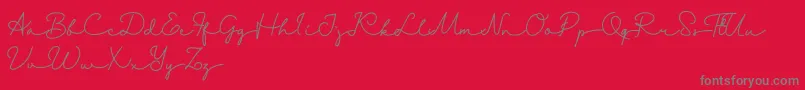 Danila   Demo Font – Gray Fonts on Red Background