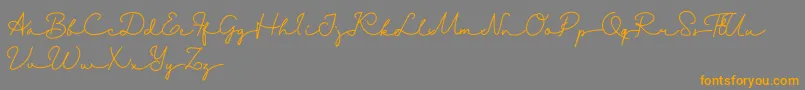 Danila   Demo Font – Orange Fonts on Gray Background
