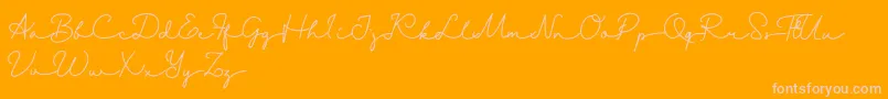 Danila   Demo Font – Pink Fonts on Orange Background
