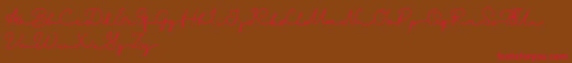 Danila   Demo Font – Red Fonts on Brown Background