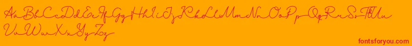 Danila   Demo Font – Red Fonts on Orange Background
