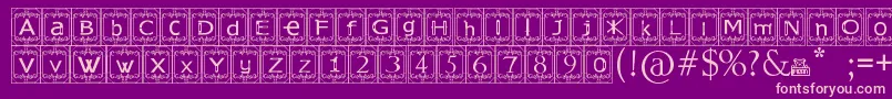 KingslandTimur Font – Pink Fonts on Purple Background