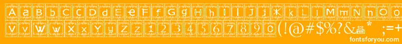 KingslandTimur Font – White Fonts on Orange Background