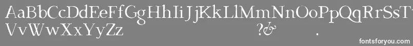 フォントDark  Black D – 灰色の背景に白い文字