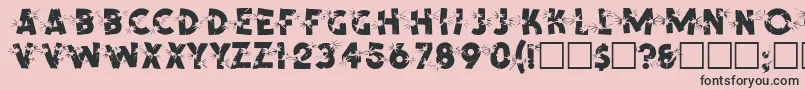 SpencerRegular Font – Black Fonts on Pink Background