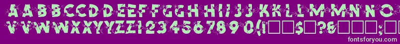 SpencerRegular Font – Green Fonts on Purple Background