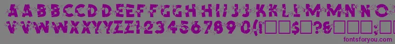 SpencerRegular Font – Purple Fonts on Gray Background