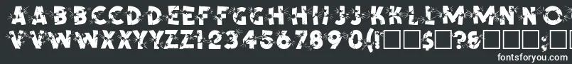 SpencerRegular-fontti – valkoiset fontit mustalla taustalla
