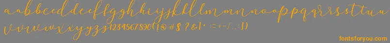 Darloune Font – Orange Fonts on Gray Background