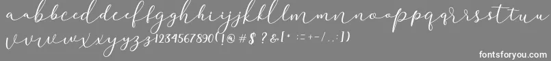 Darloune Font – White Fonts on Gray Background