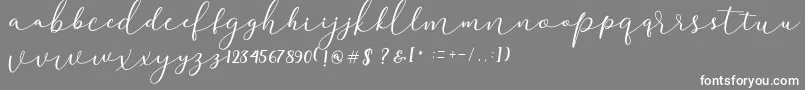 Darloune Font – White Fonts on Gray Background