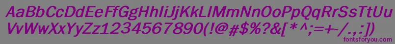 ElutheraBoldItalic Font – Purple Fonts on Gray Background