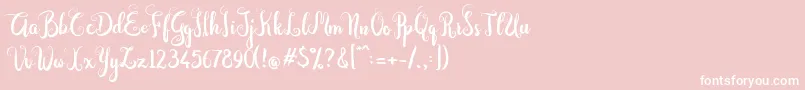 Dastan Script Font – White Fonts on Pink Background