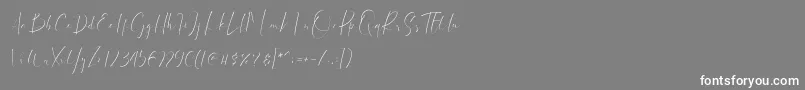 dattebayo Font – White Fonts on Gray Background