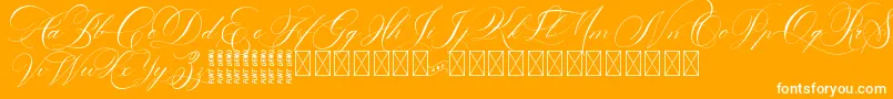 DavidAndSovhieDEMO-Schriftart – Weiße Schriften auf orangefarbenem Hintergrund