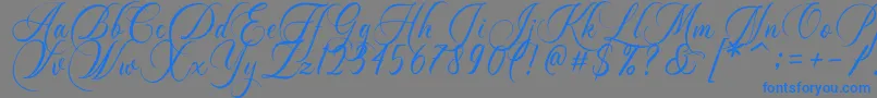 フォントDayland – 灰色の背景に青い文字