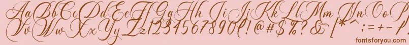 Dayland Font – Brown Fonts on Pink Background