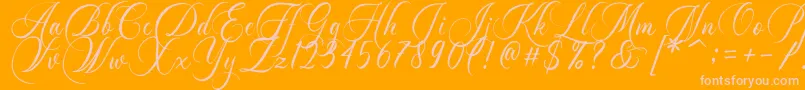 Dayland Font – Pink Fonts on Orange Background