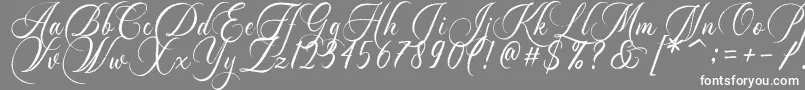 Dayland Font – White Fonts on Gray Background
