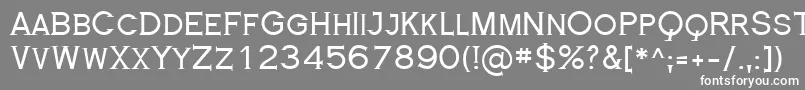 RoyalSerif Font – White Fonts on Gray Background