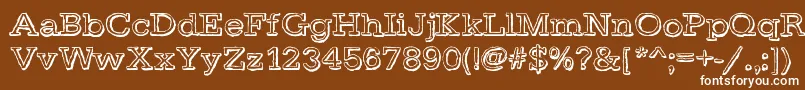 DayLight Font – White Fonts on Brown Background