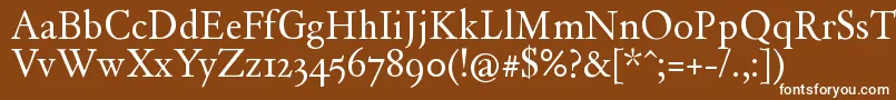 フォントDAYROM   – 茶色の背景に白い文字