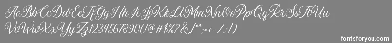 フォントDaytonia Free – 灰色の背景に白い文字