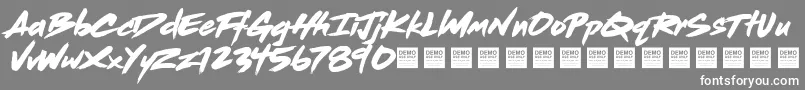Dead Stock   Demo-Schriftart – Weiße Schriften auf grauem Hintergrund