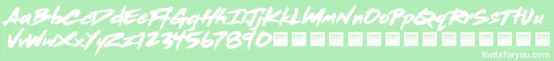 Dead Stock   Demo Font – White Fonts on Green Background