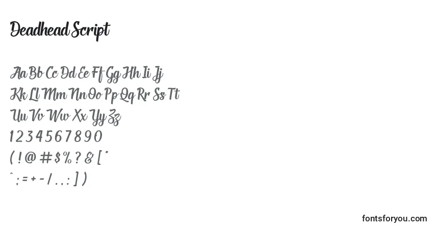Deadhead Script-fontti – aakkoset, numerot, erikoismerkit
