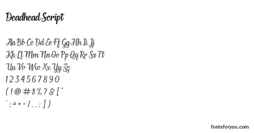 A fonte Deadhead Script (124627) – alfabeto, números, caracteres especiais