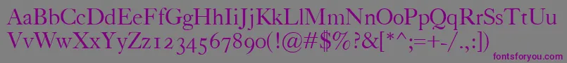 Police CaslonClassico – polices violettes sur fond gris