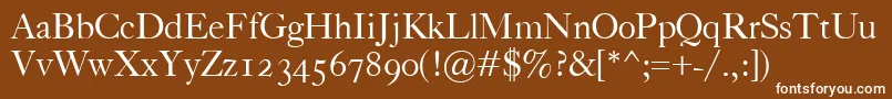 フォントCaslonClassico – 茶色の背景に白い文字