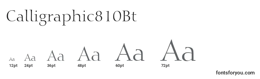 Размеры шрифта Calligraphic810Bt