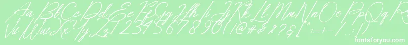 Dear Elisa Font – White Fonts on Green Background