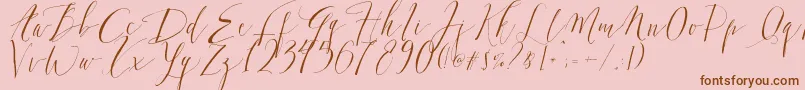 DearlyScript Font – Brown Fonts on Pink Background